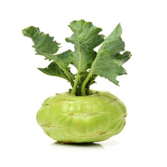Kohl Rabi 1x1803
